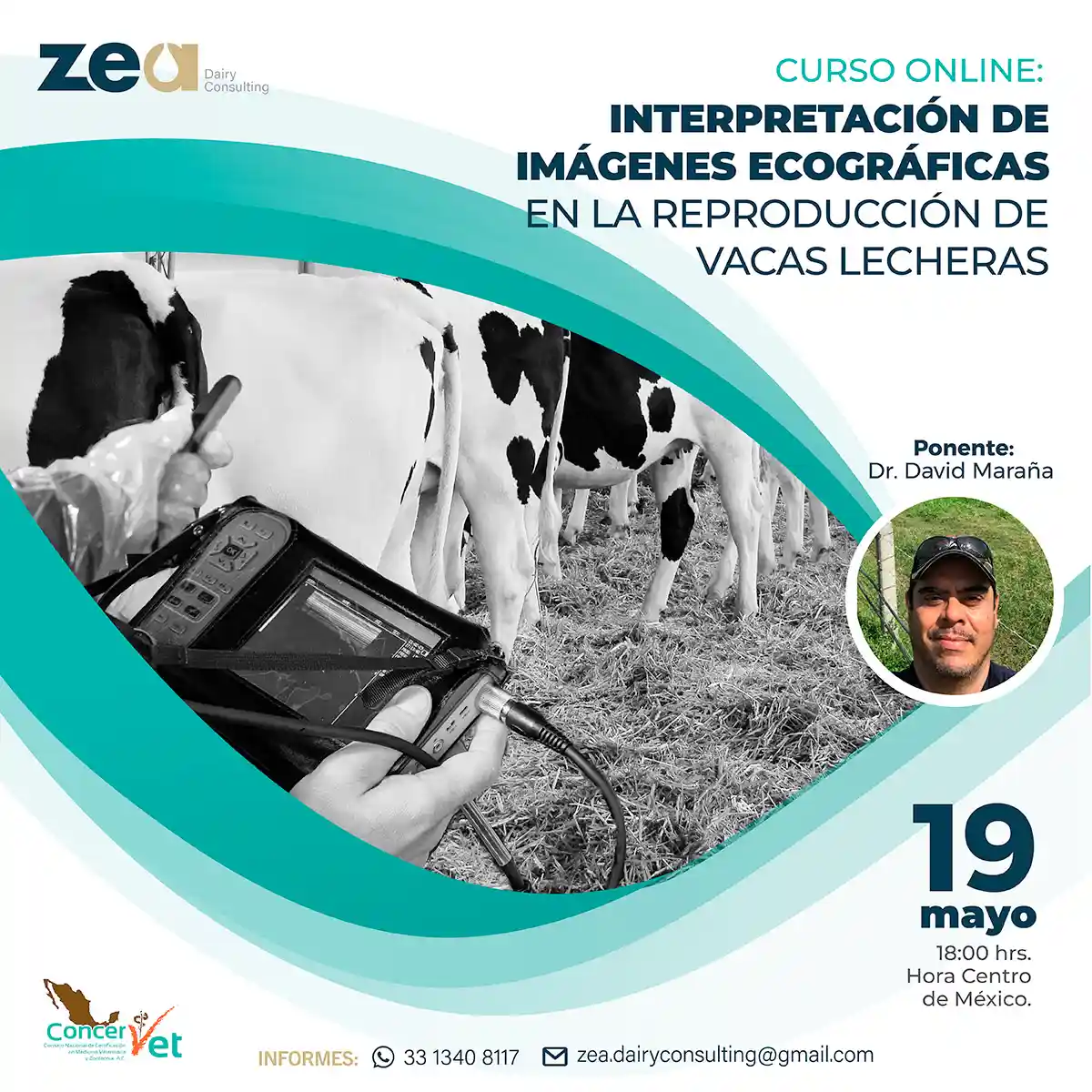 Interpretacion de Imagenes Ecograficas en la Reproduccion de Vacas Lecheras