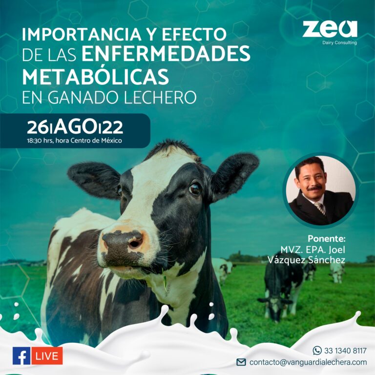 Importancia de las enfermedades metabólicas en ganado lechero
