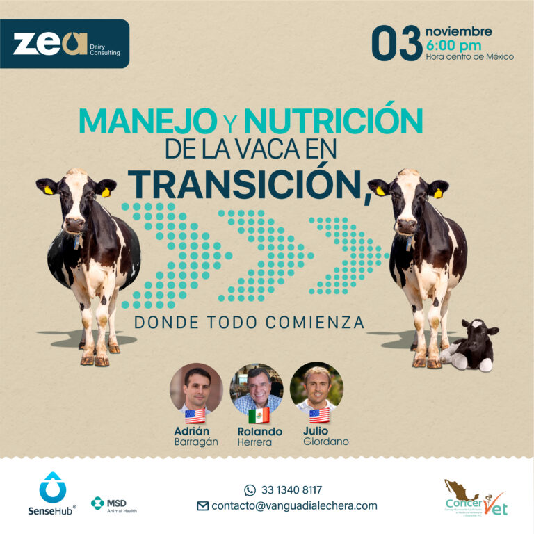 MANEJO Y NUTRICION DE LA VACA EN TRANSICION​