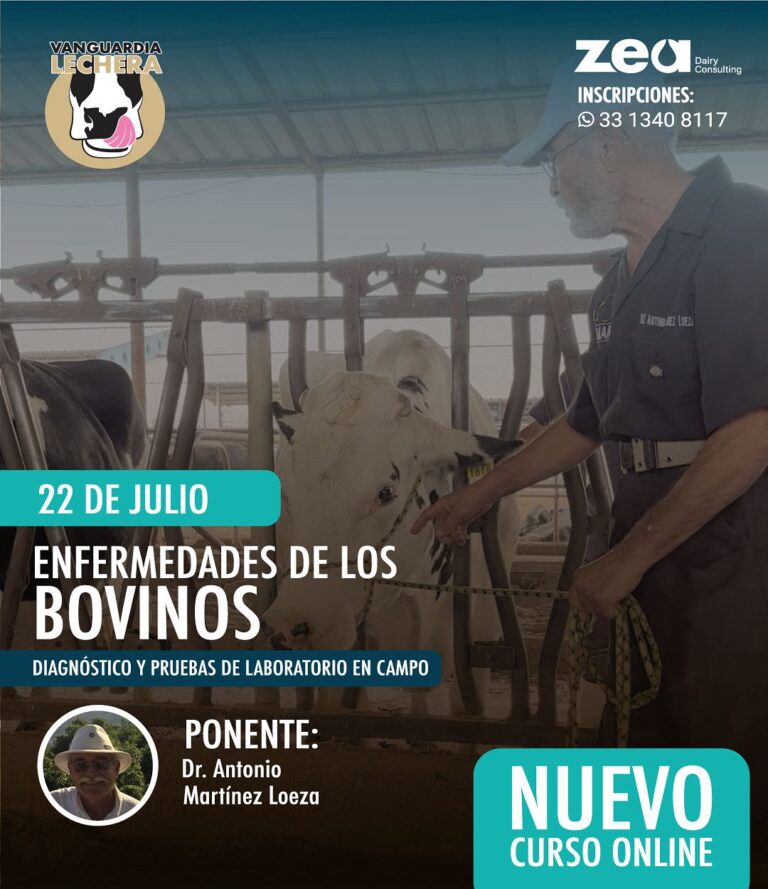 Enfermedades de los bovinos