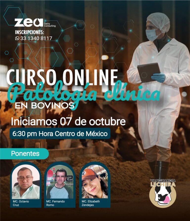 Patologia clínica en bovinos