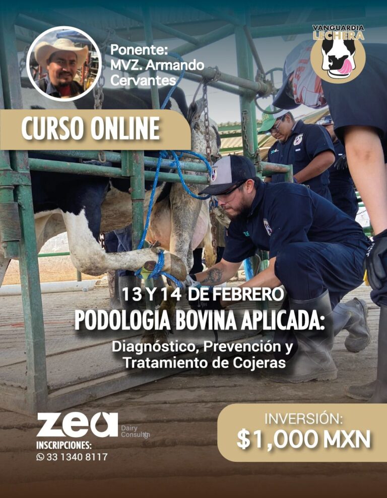 Podología bovina aplicada